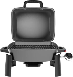 Nexgrill 1 Burner Portable Propane Gas Grill - Nexgrill Deluxe 2 Burner Barbecue Gas Grill